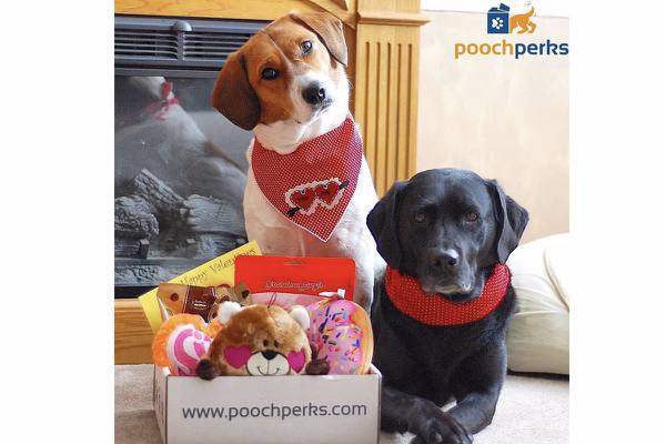 pooch-perks-monthly-dog-boxes-cool-dog-stuff