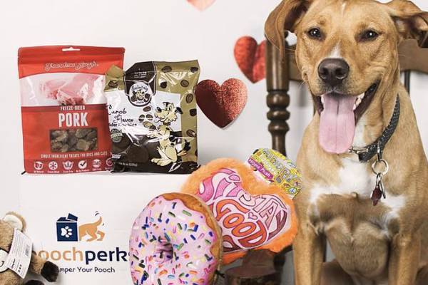 pooch-perks-monthly-dog-boxes-cool-dog-stuff