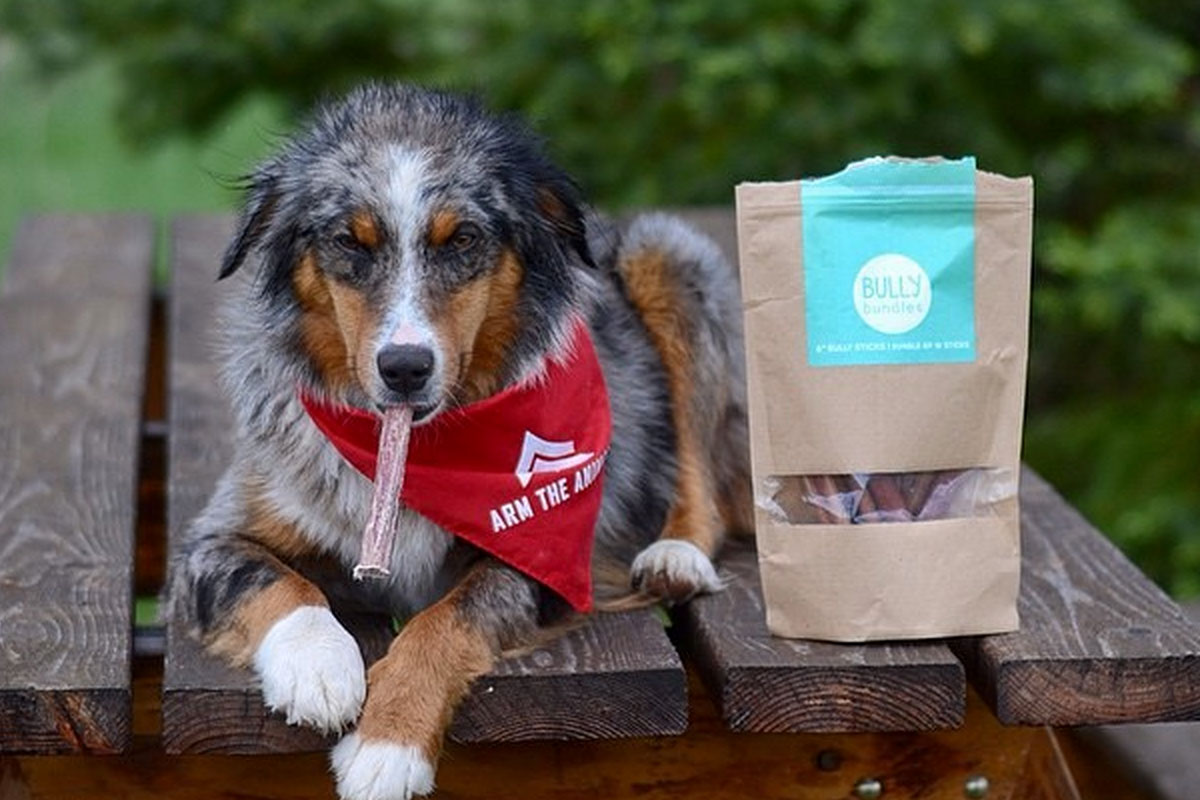 Bully Bundles Subscription Box Cratejoy