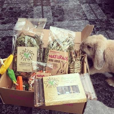 rabbit monthly box